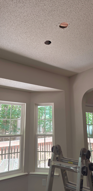 Bright living room with large windows, a ladder, and two ceiling holes for a light fixture