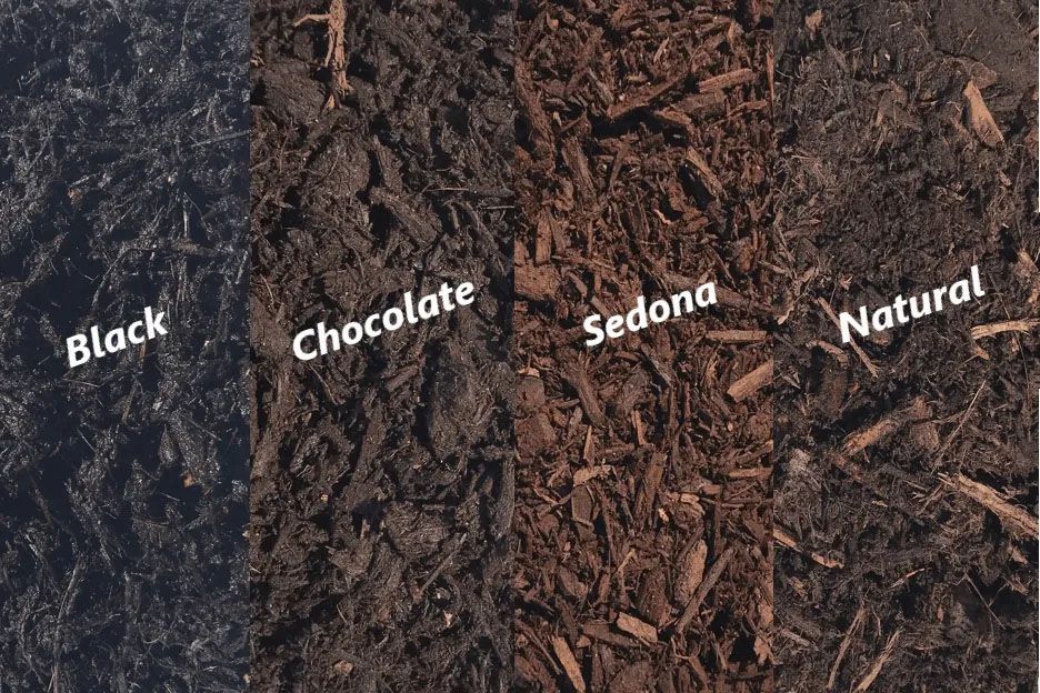 mulch color