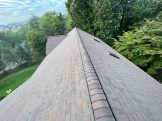 A roof with a green gutter and trees in the background