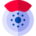 Aceites sint&eacute;ticos