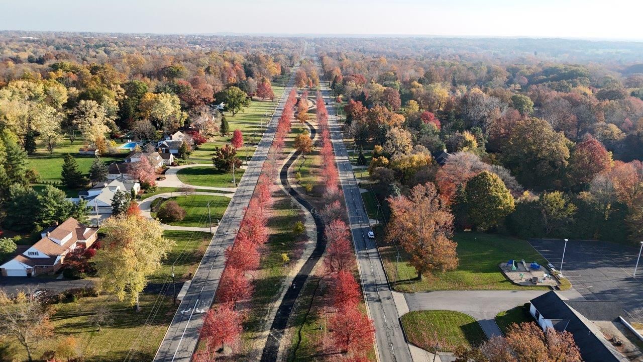 An aerial view of a residential street lined with trees in autumn.