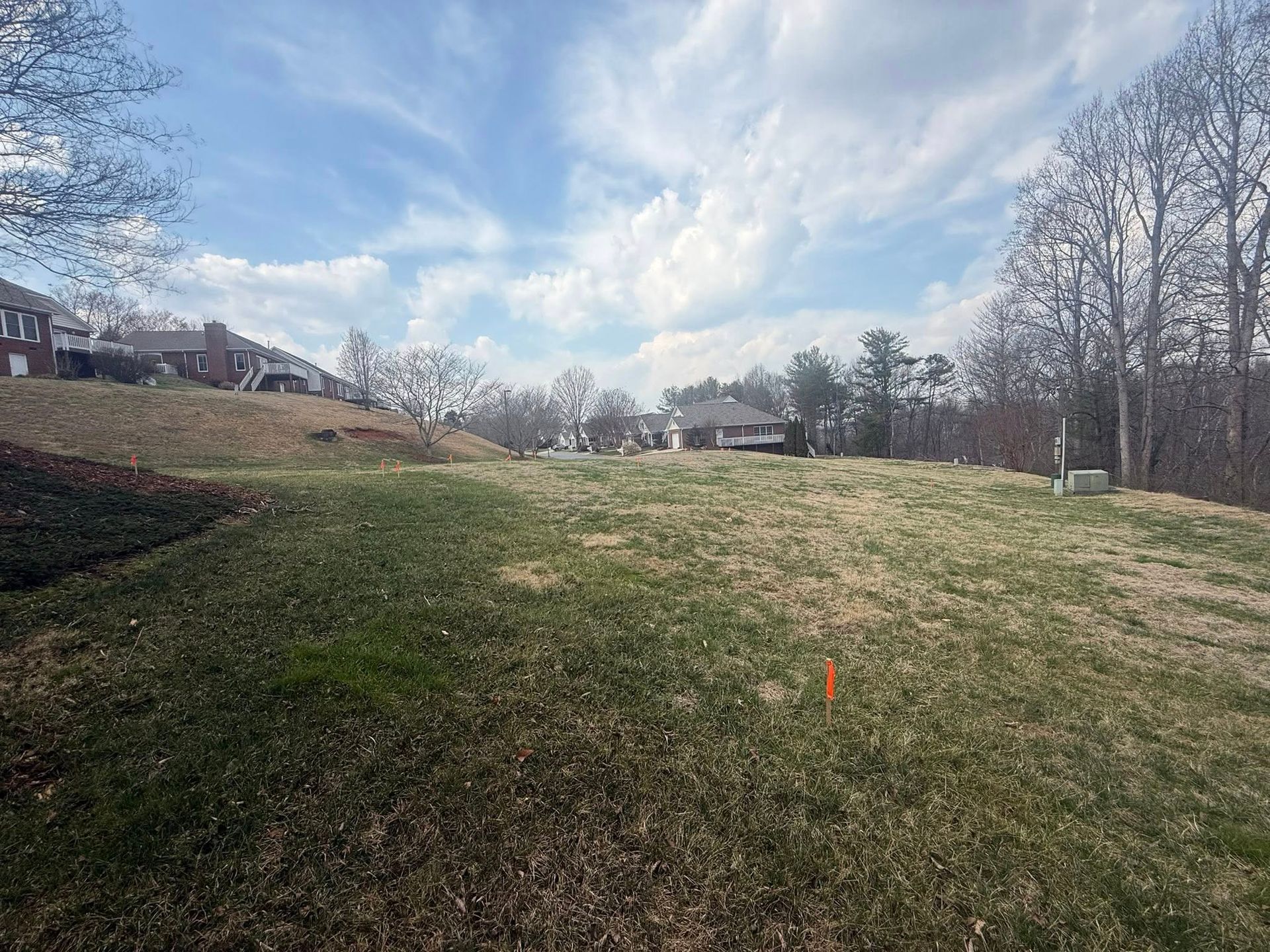Grassy hillside under a partly cloudy sky, with houses and leafless trees in the distance.
