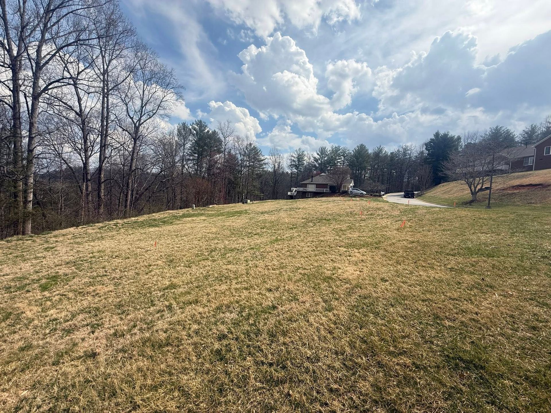 Grassy field under cloudy sky with bare trees and houses in the distance