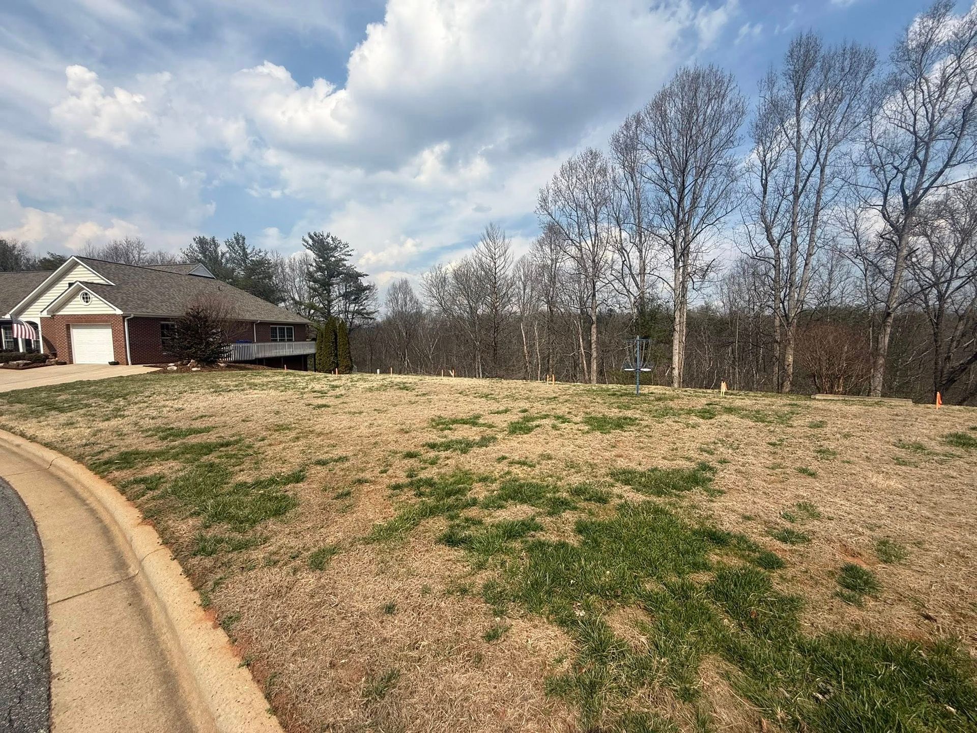 Grassy hillside beside a curved driveway, with a house on the left and bare trees under a cloudy sky.