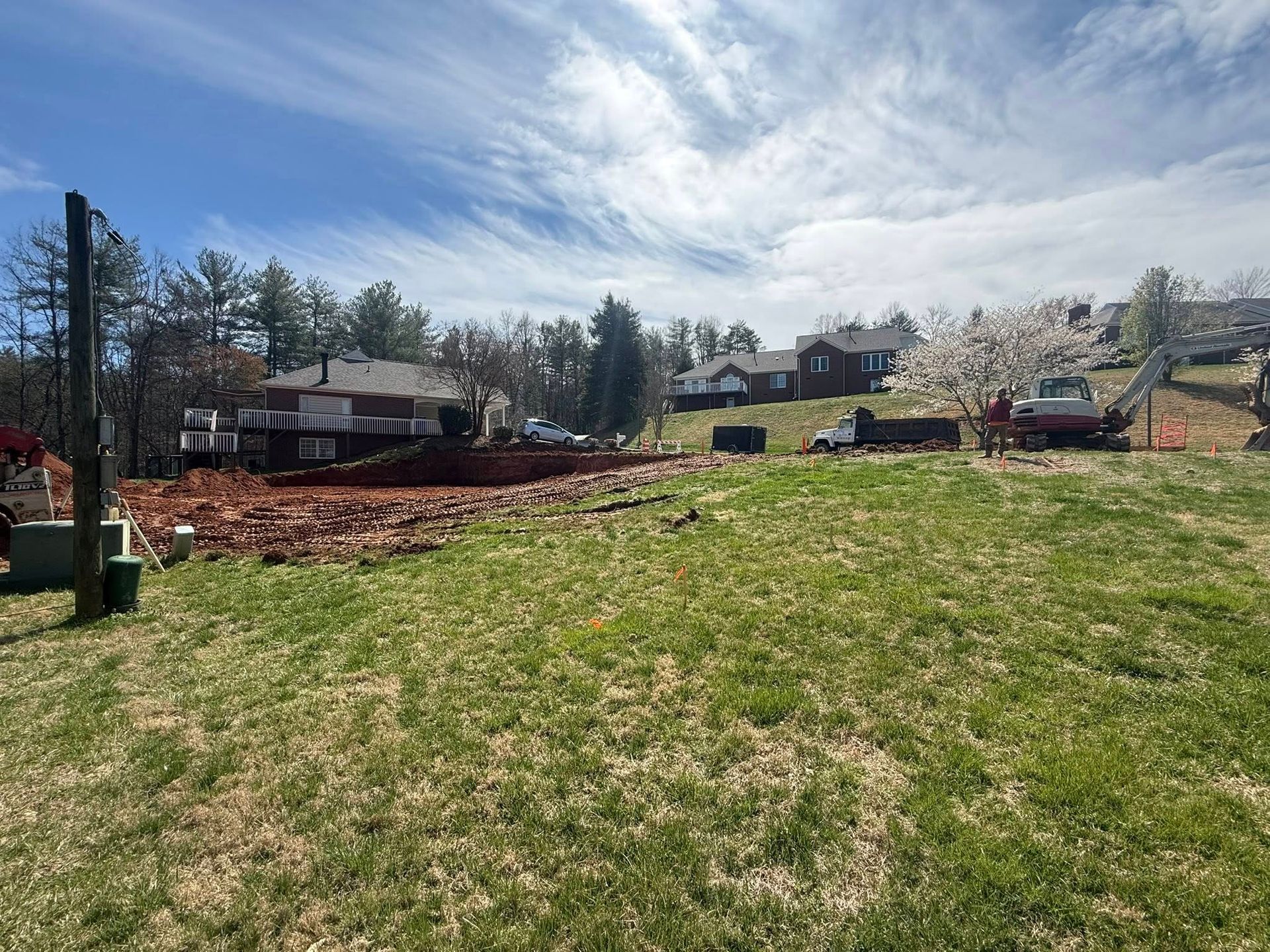 Grassy field with houses, a blossoming tree, and a partly cloudy sky