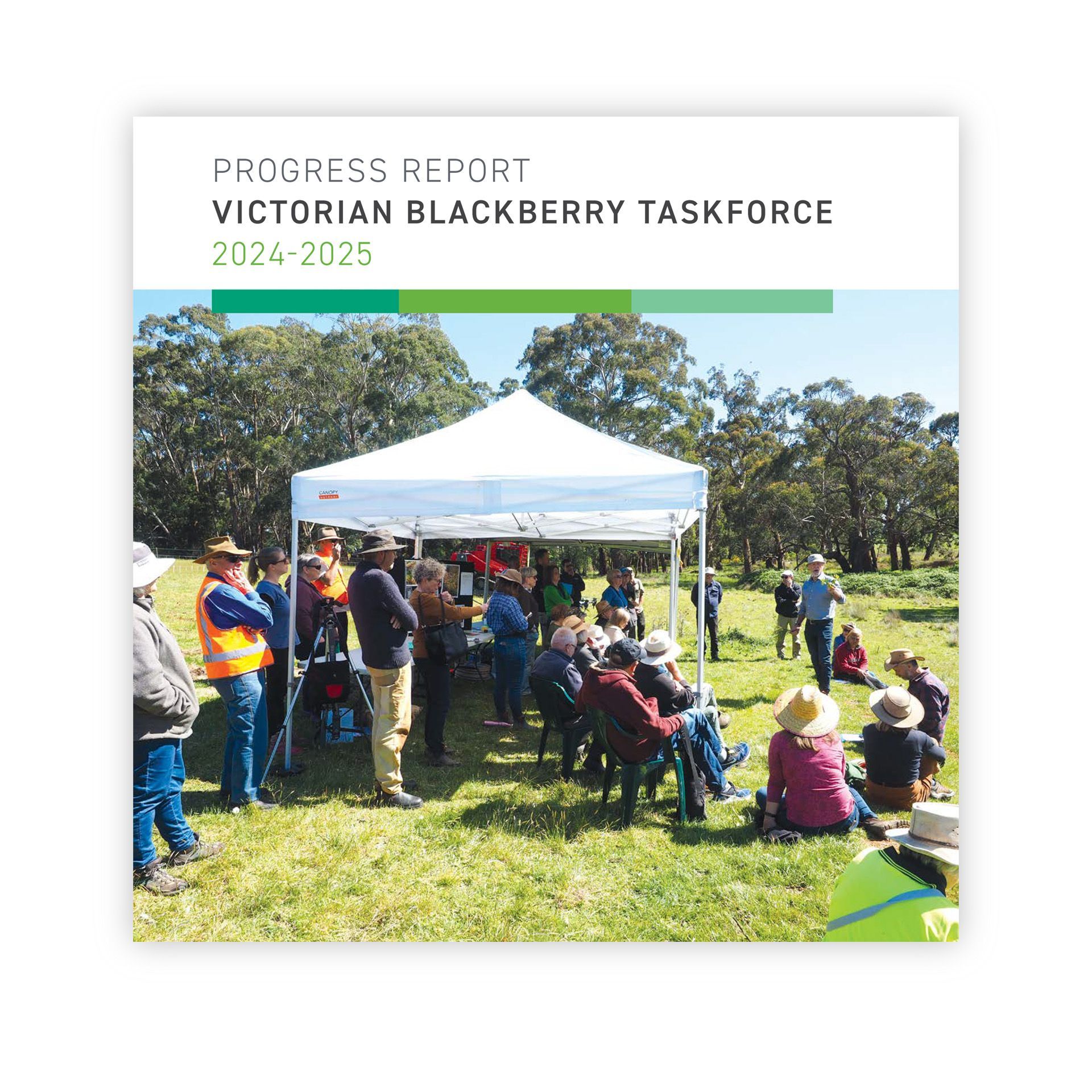 Annual Report 2025 Progress Report 2025 VBT