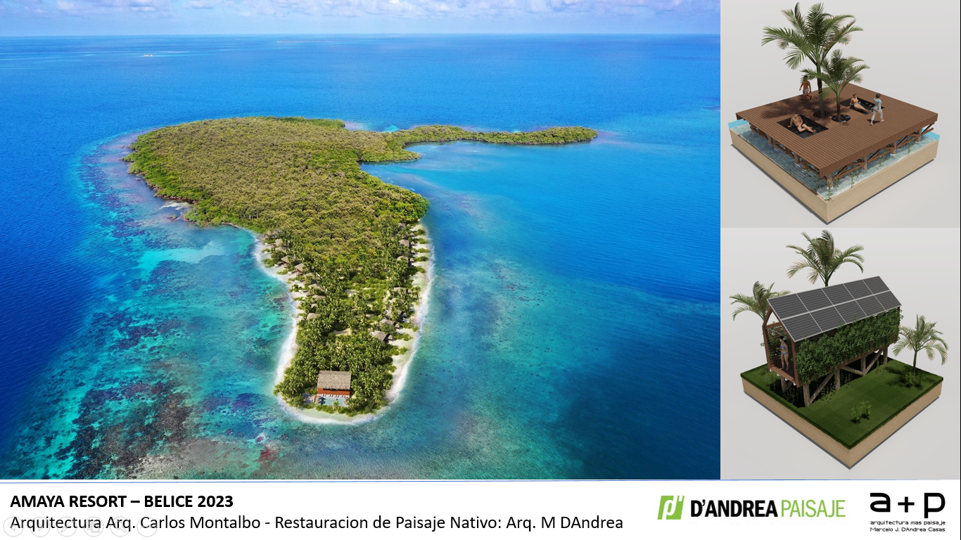 Una vista aérea de una pequeña isla en medio del océano.