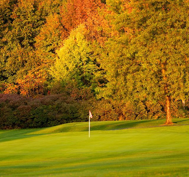 A green golf course with trees in the background