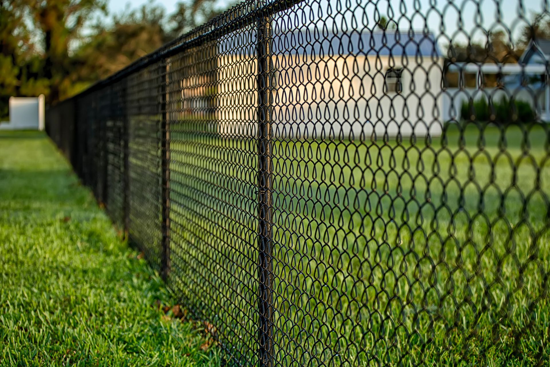 A black chain-link fence stretches across a green, grassy yard in front of a house at sunset.