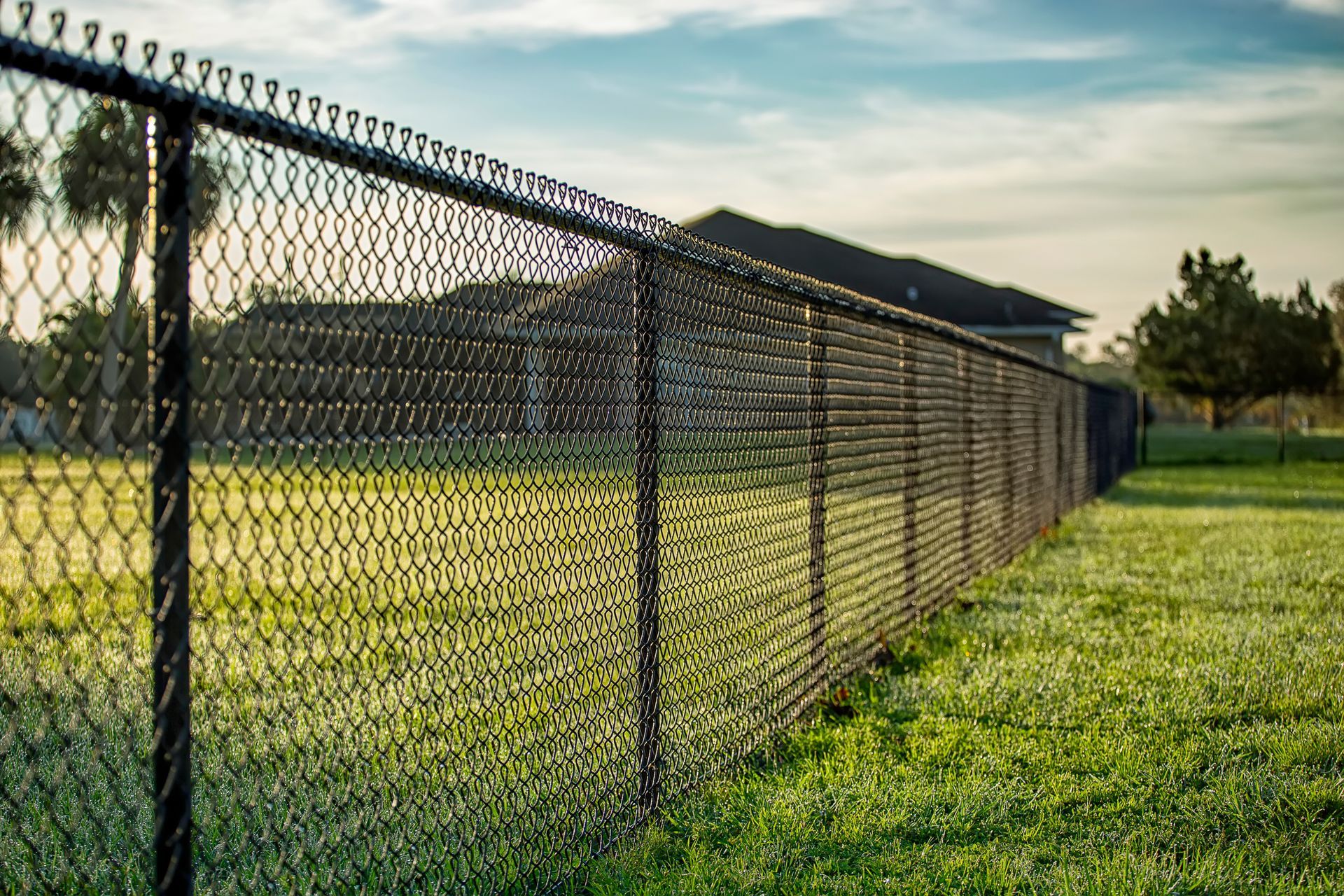 A black chain-link fence stretches across a grassy field with a building visible in the background under a sunset sky.