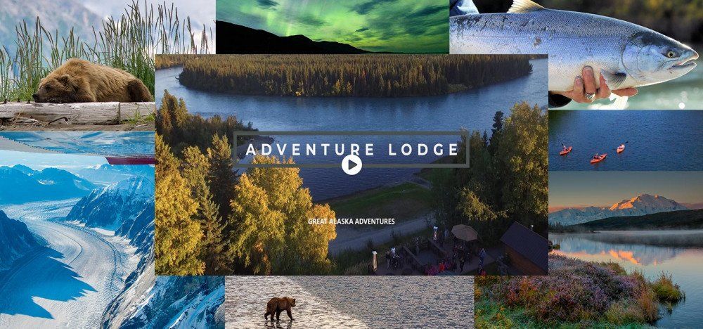 Collage of Animals and places in Alaska