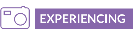 Travel Management Software