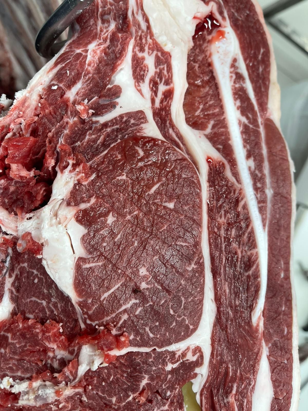 carne rossa