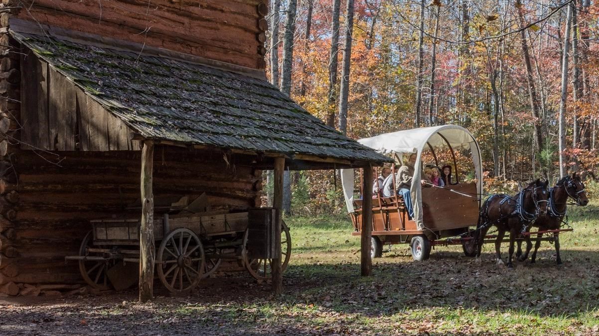 A horse drawn carriage is parked in front of a log cabin in the woods.