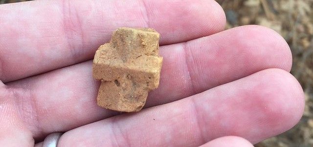A person is holding a small piece of wood in their hand.