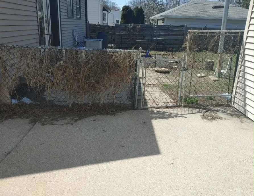 Backyard with wooden fence and gate, patchy grass, and a blue house wall on the right.