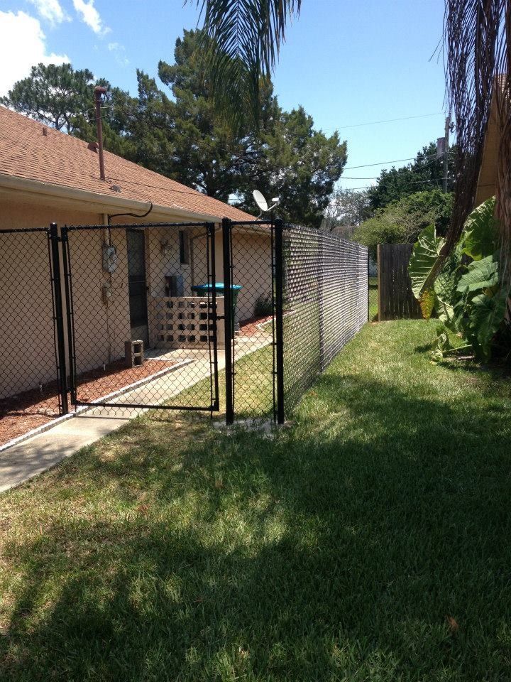 Backyard with chain-link fence, grassy lawn, and house patio under sunny sky