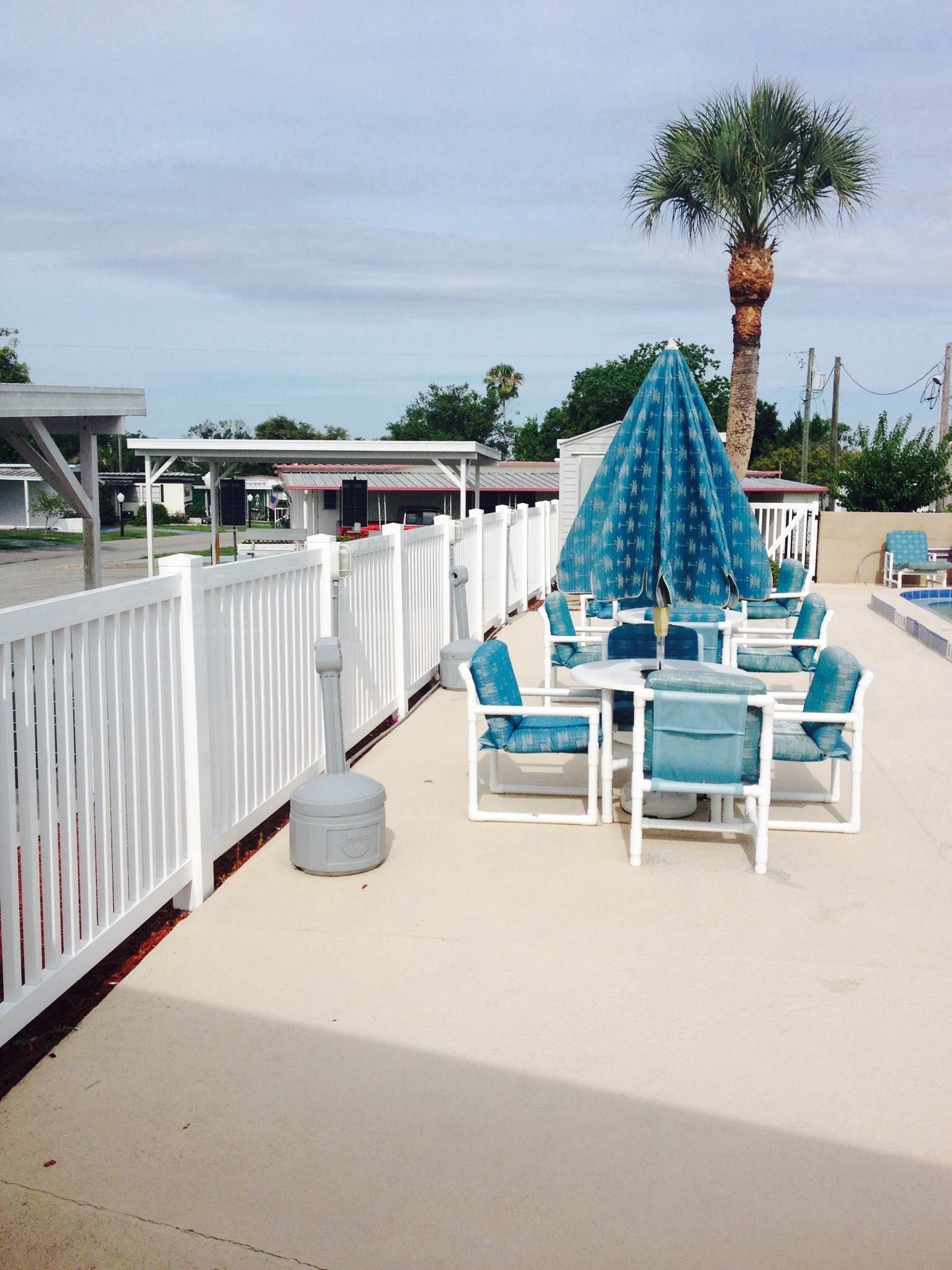 Poolside seating area with blue umbrellas, white chairs, and a palm tree under a clear sky