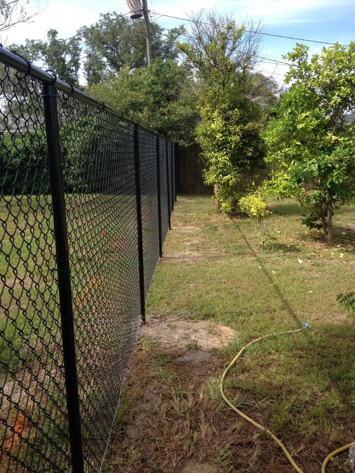 Black chain-link fence beside grassy yard with trees and a garden hose on the ground