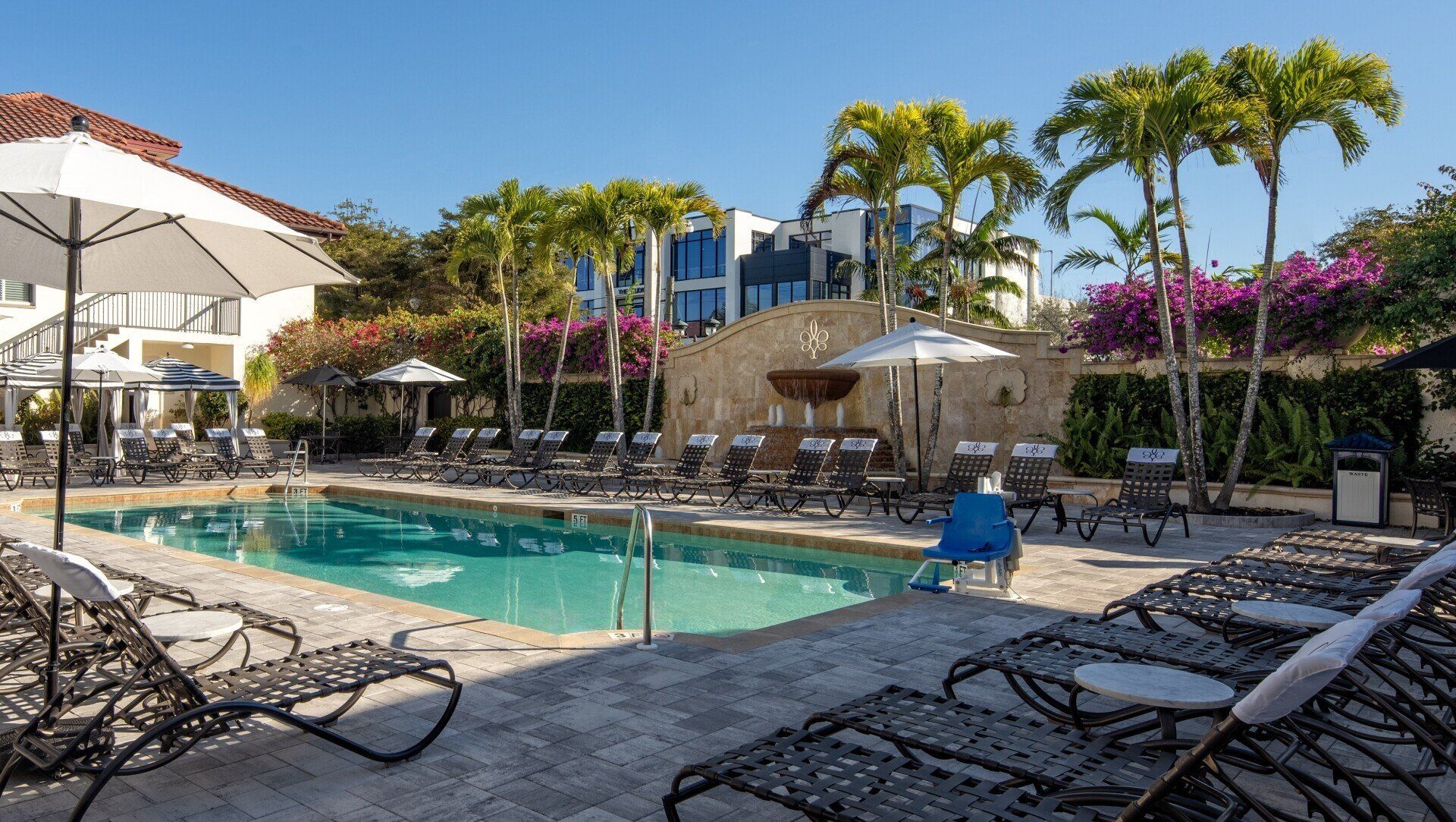 Poolside lounge chairs beside a turquoise resort pool with palm trees and pink bougainvillea