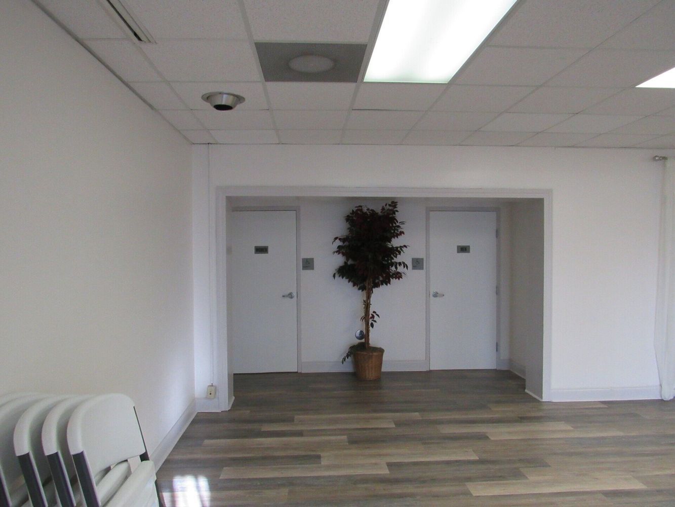 Interior view: White walls, doors, potted tree, overhead lighting, and chairs.