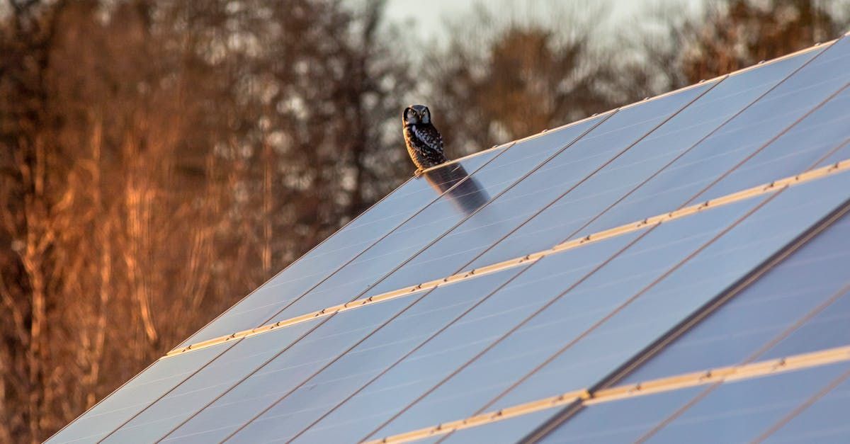 Dracut Solar helping businesses take advantage of solar incentives in Dracut, MA.