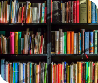 Rows of colorful books on dark wooden shelves