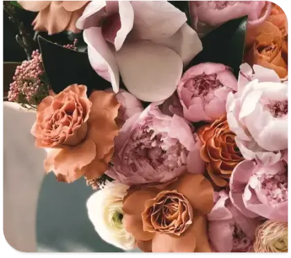 Bouquet of pastel pink, peach, and cream flowers against a soft green background