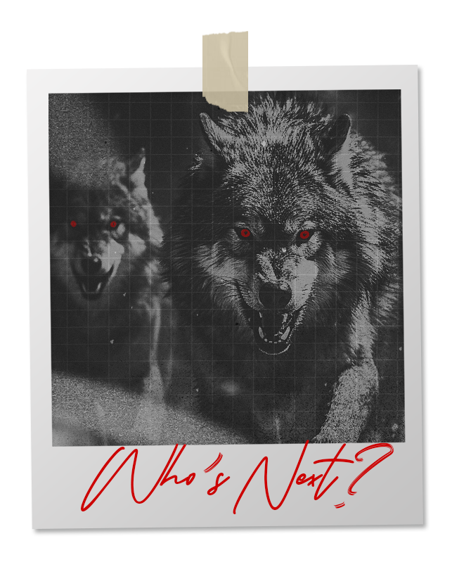 Two wolves with glowing red eyes, snarling. Text below reads, 