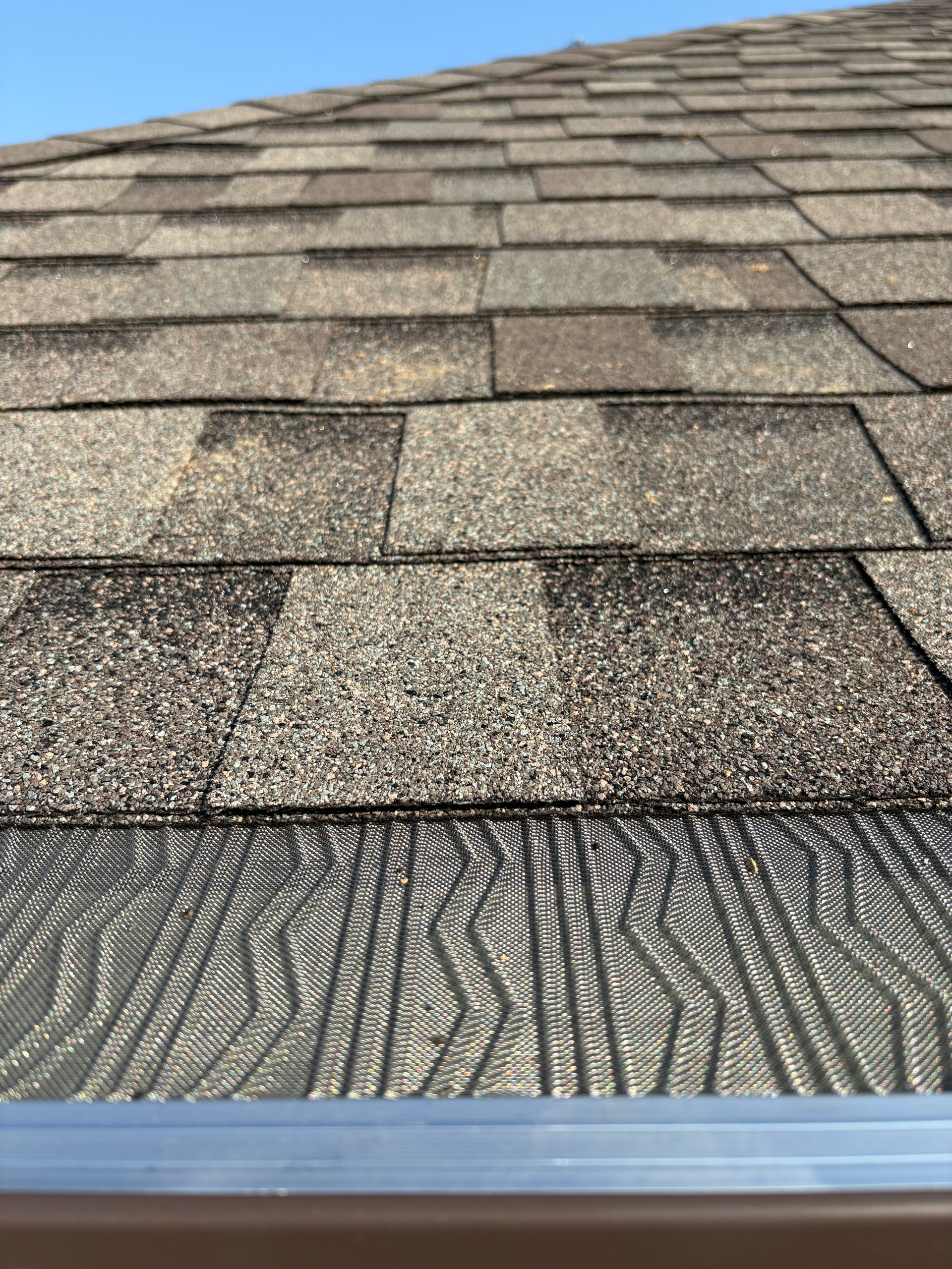 A close-up view of asphalt roof shingles installed above a metal mesh gutter guard and brown gutter.