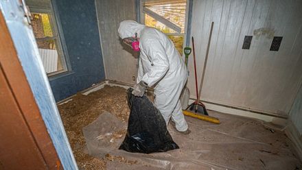 An image of Lead Testing & Removal in  Jersey City NJ