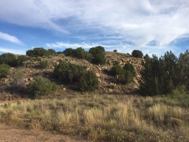 Stallard R/E Svcs - Fort Sumner NM