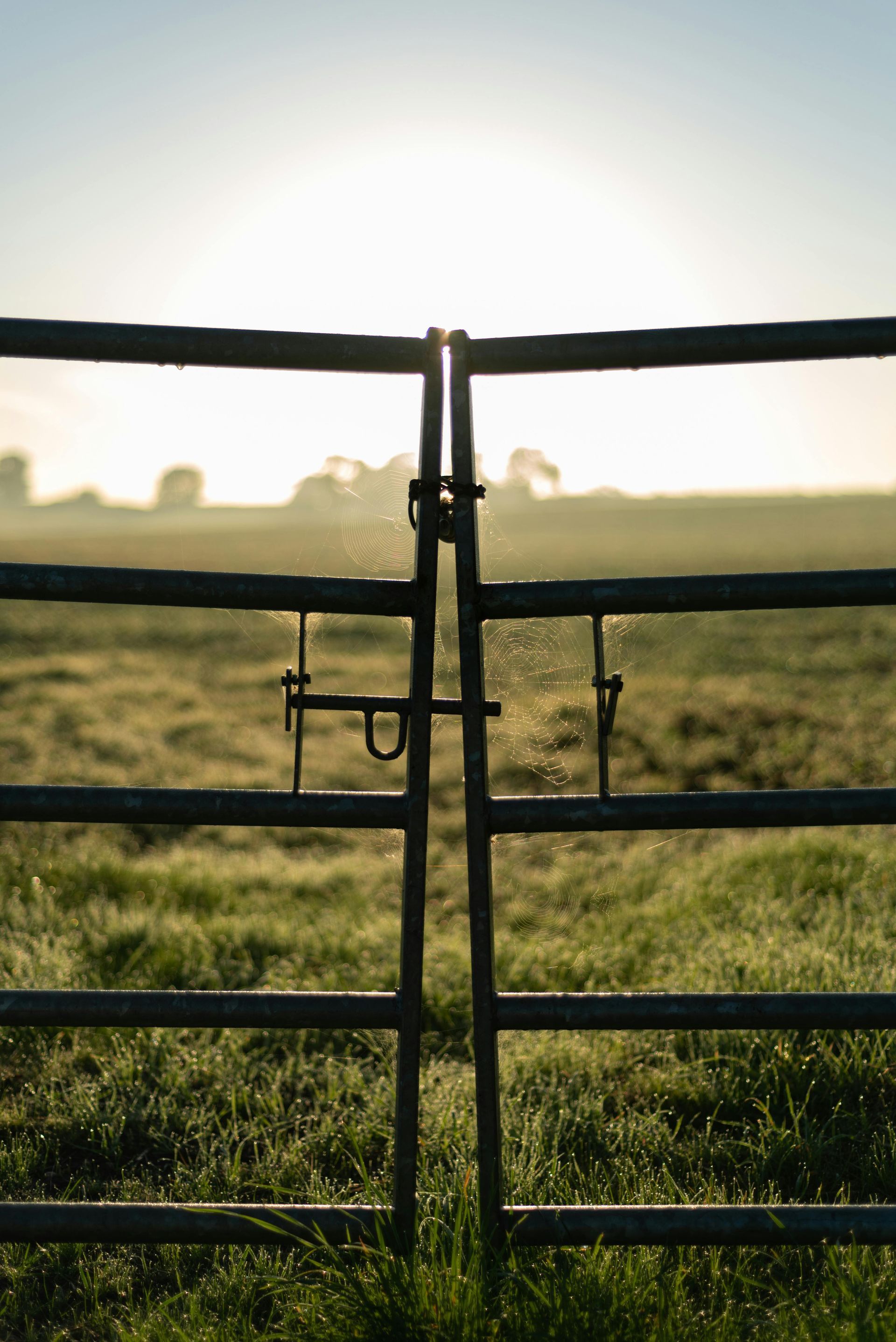 Gates & Hardware