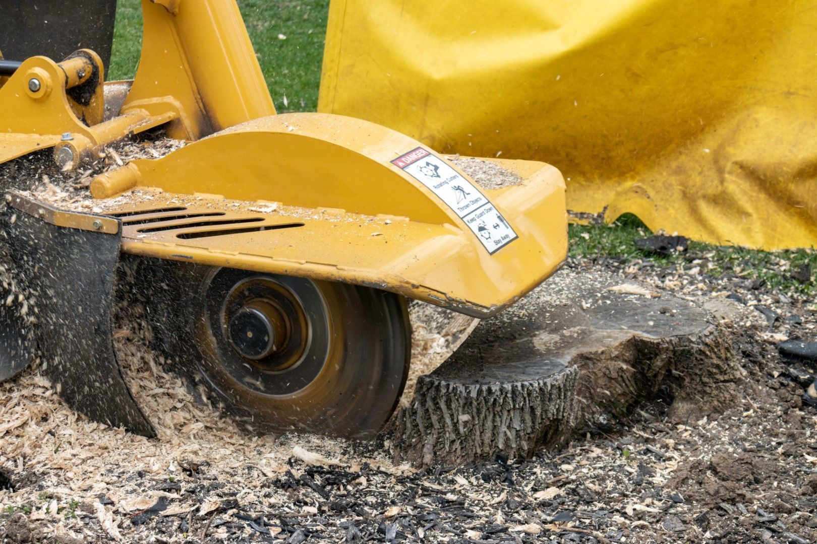 A picture of a stump being removed in Florence-Graham, CA