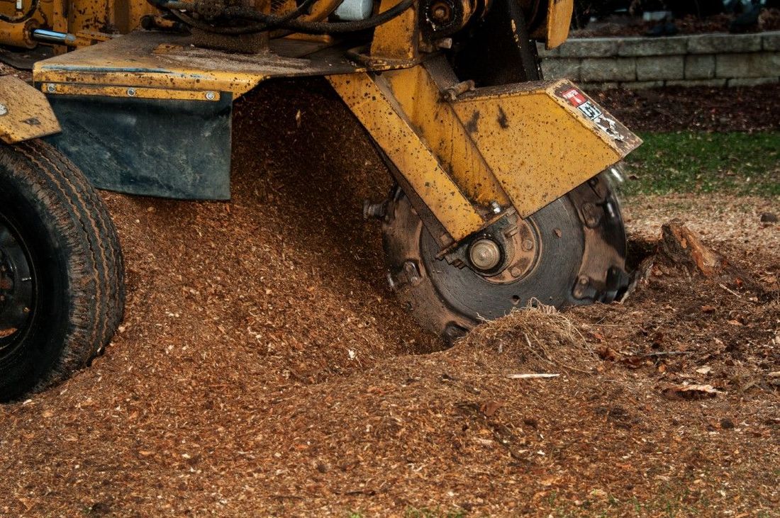 An image of a machine grinding down a stump in Florence-Graham, CA