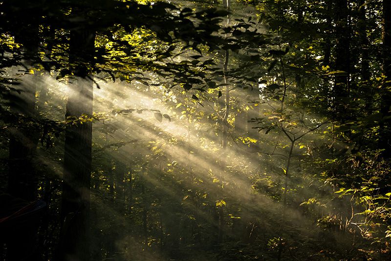 Lindsey Funeral Home