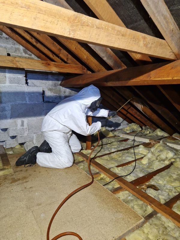 A man in a bee suit is working in an attic.