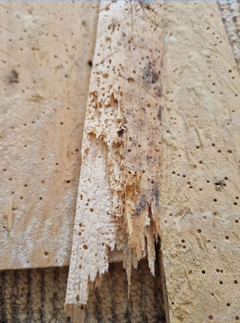 A close up of a piece of wood with holes in it.