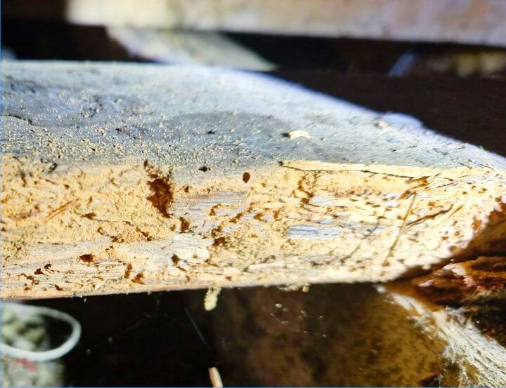 A close up of a piece of wood with holes in it