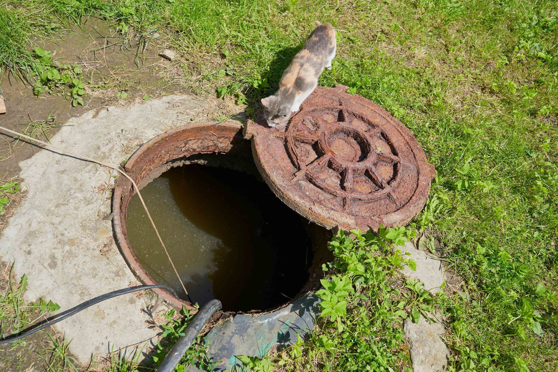 Partially open septic tank manhole cover in a grassy yard at a Mathews, VA property. Partially open septic tank manhole cover in a grassy yard at a Mathews, VA property.