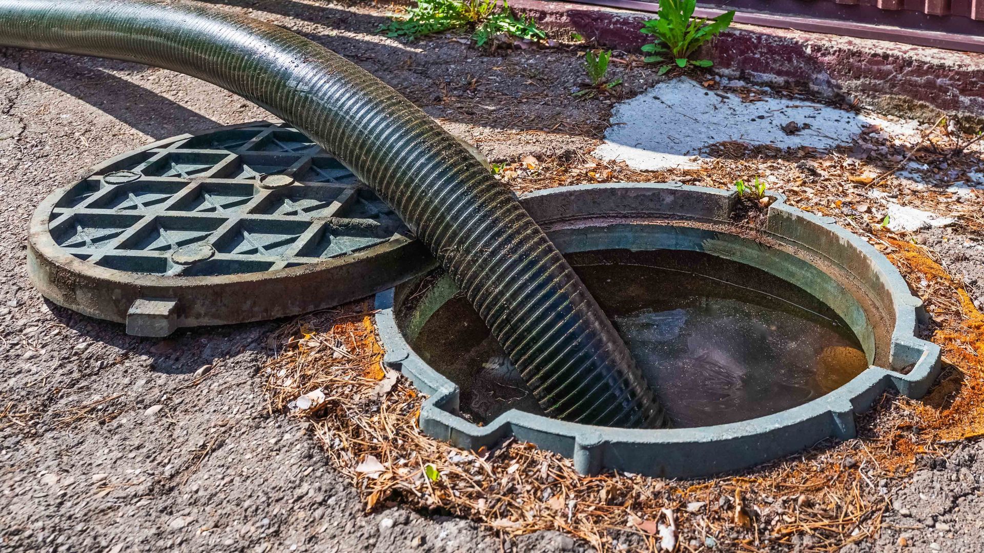 Open manhole with a hose inserted, surrounded by leaves and concrete pavement. Open manhole with a hose inserted, surrounded by leaves and concrete pavement.