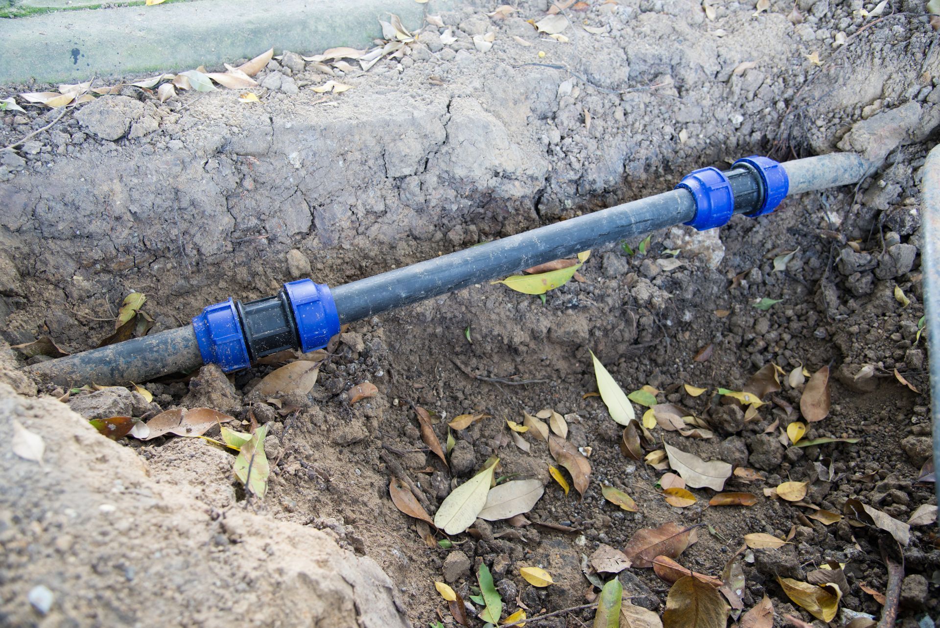 Blue pipe with two connectors running through a dirt trench with leaves scattered around