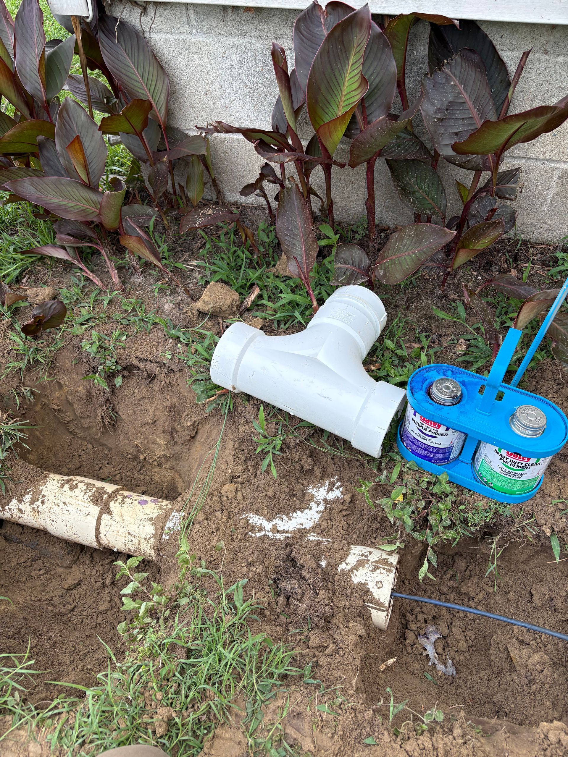 White PVC pipe by a wall with dark plants and a blue hose reel on patchy grass and dirt