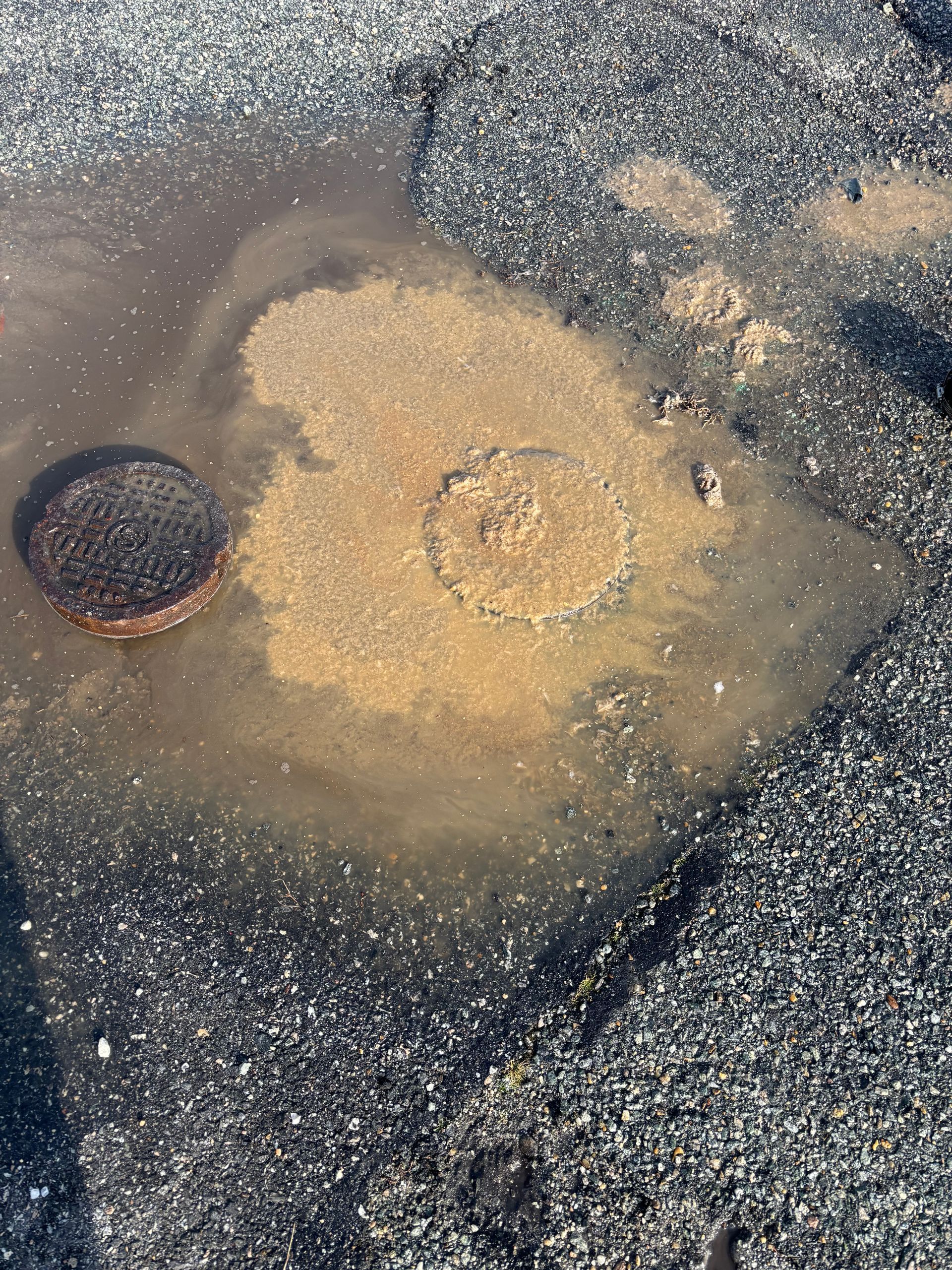 Two round holes in wet concrete or asphalt, one filled with dark water and one with sand-colored residue