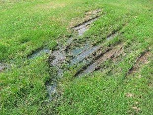 Mud-filled tire ruts cutting through a green grassy field