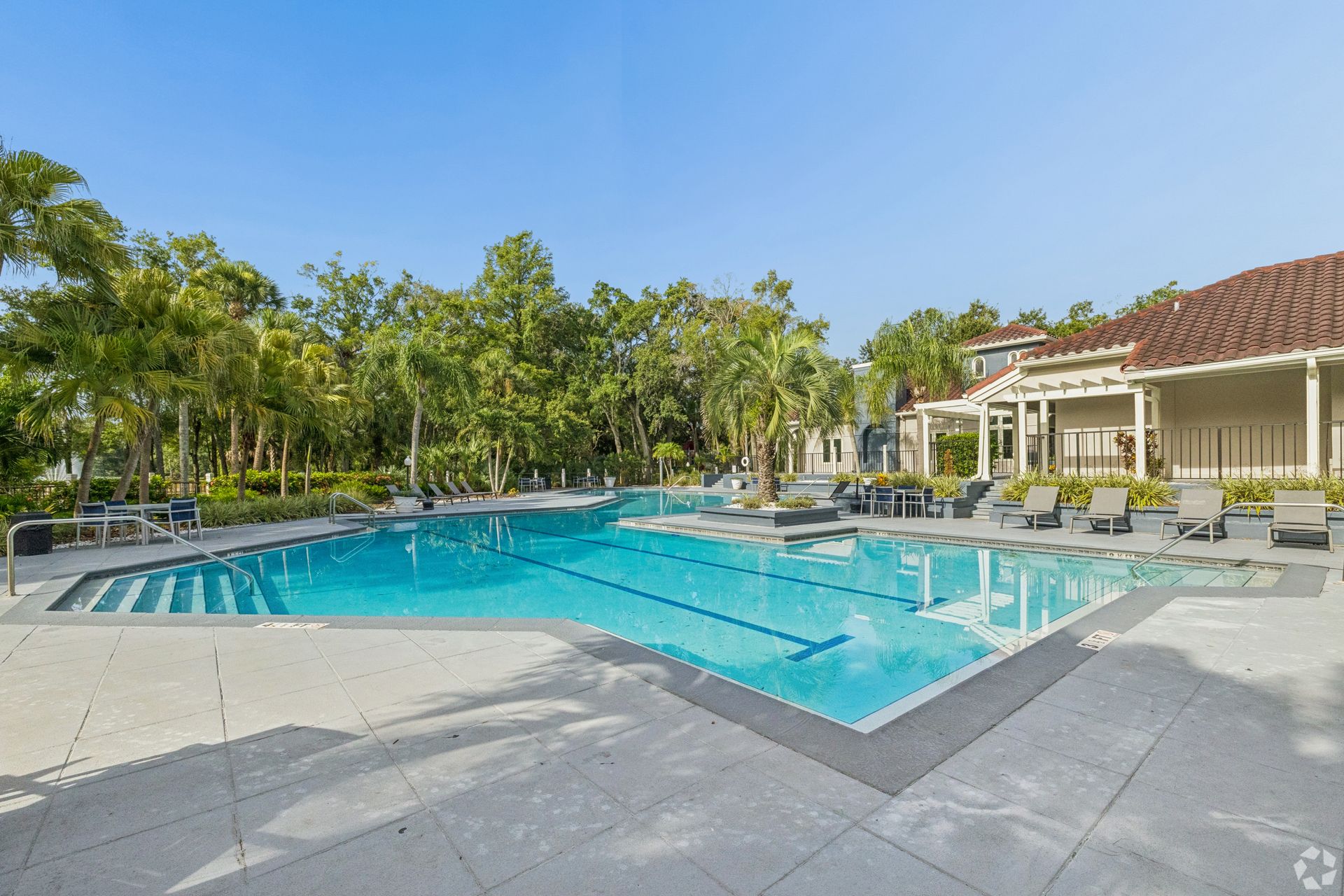 Outdoor resort pool with lounge chairs, palm trees, and a tiled patio under a blue sky