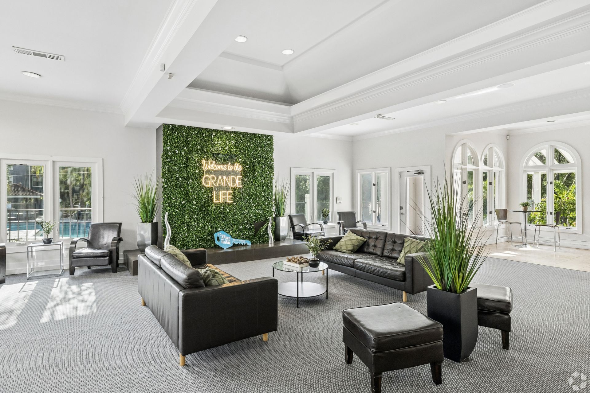Bright modern lounge with black sofas, plants, and white walls in a sunlit room