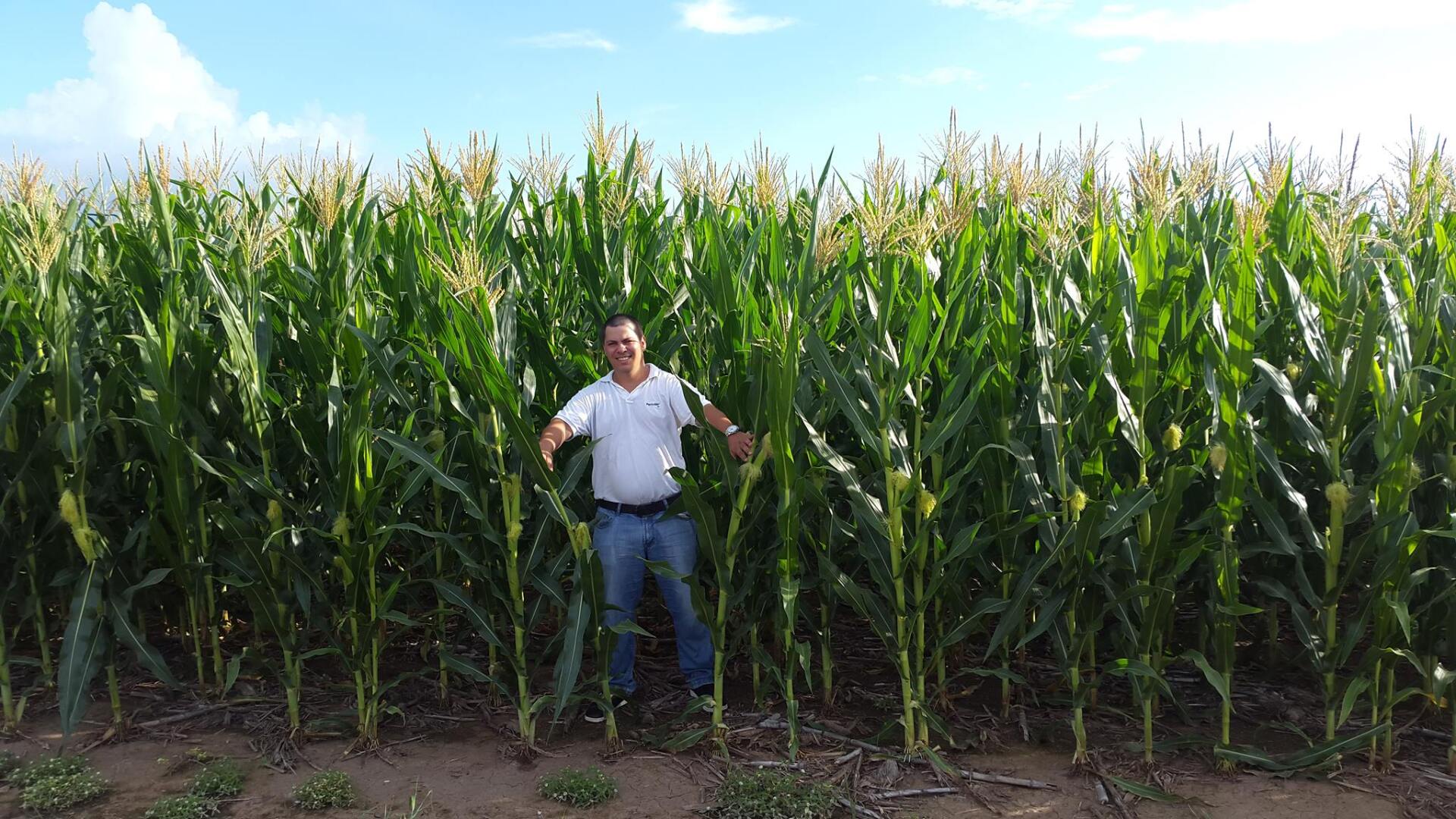 2M AGRO