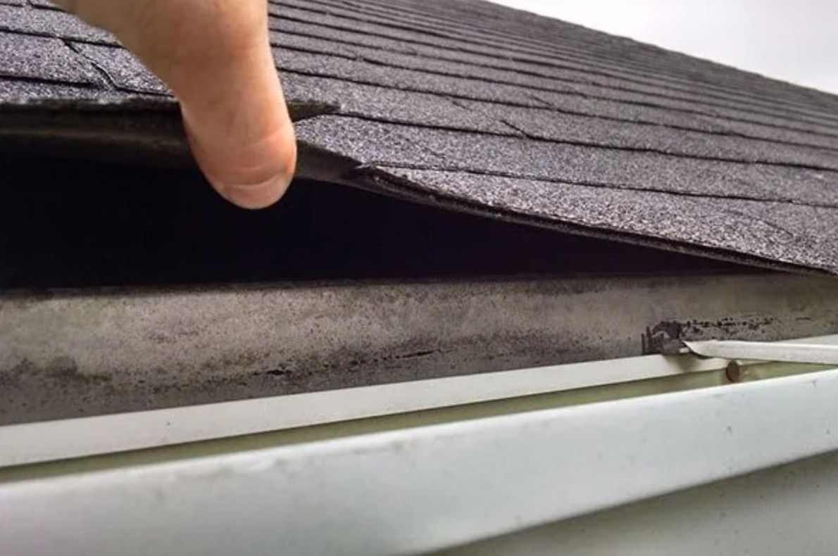 Hand lifting asphalt roof shingle, exposing gutter.