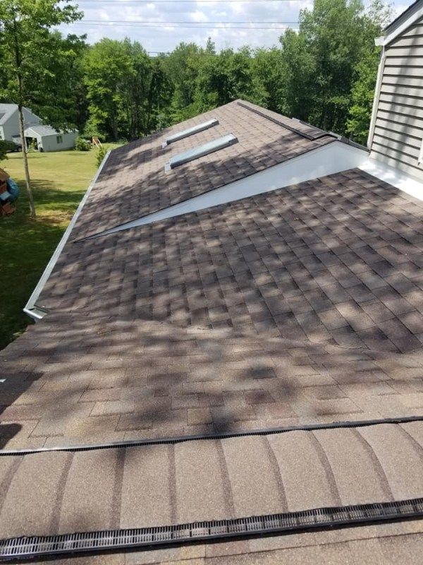Brown shingled roof with skylights, surrounded by trees and a clear sky.